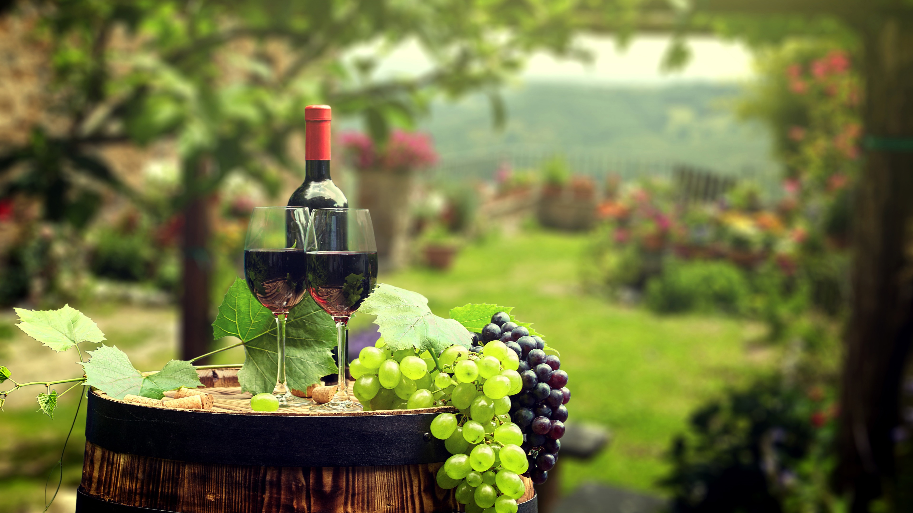 The 10 Most Popular Types of Wine