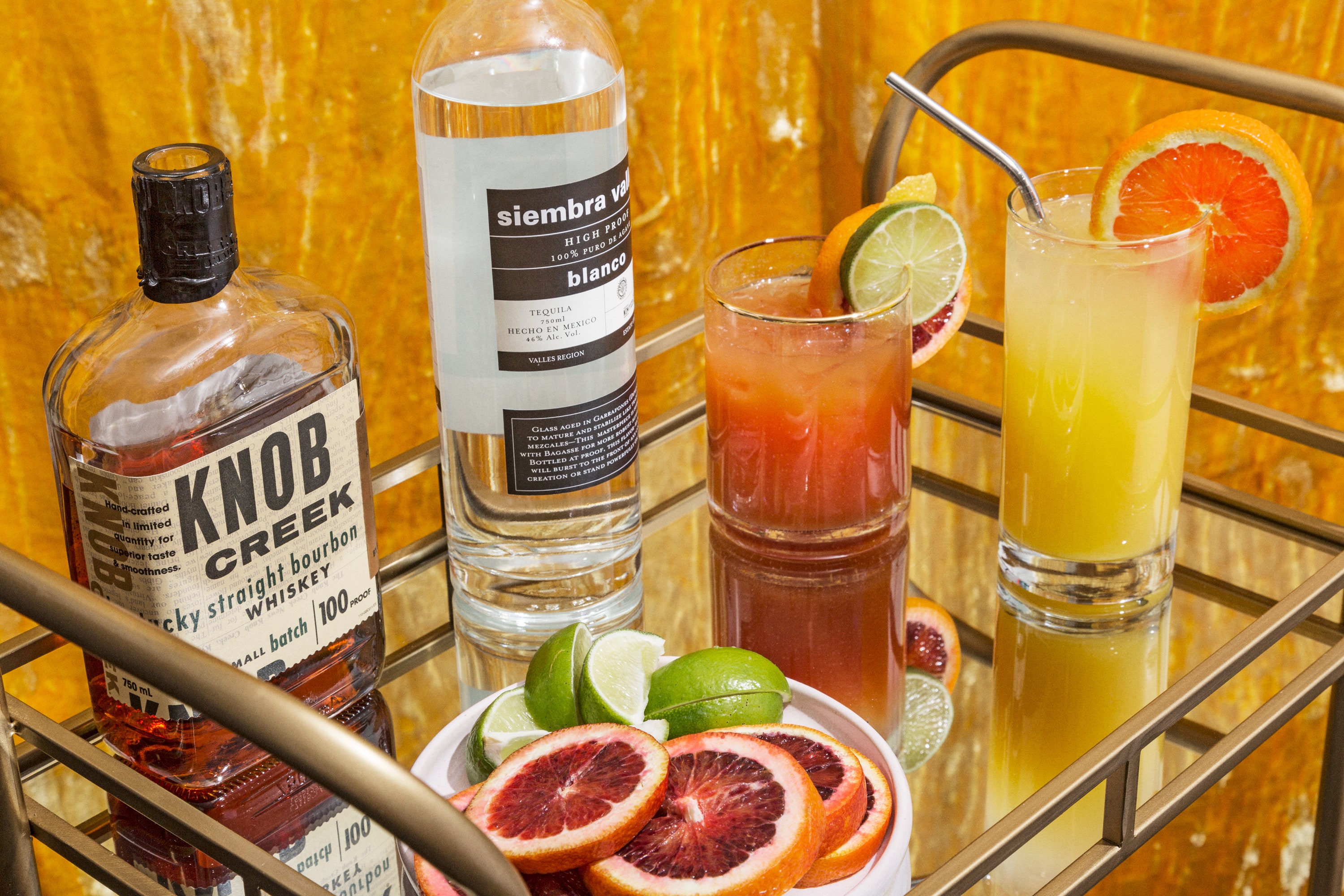 Top 11 Best Cocktail Mixers With Recipe